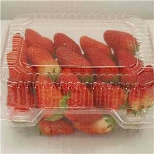 食(shi)品吸塑包裝(zhuang)應用